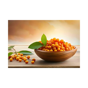 Approvisionnement en vrac de 20kg d'argousier congelé de qualité supérieure biologique de France pour la transformation des aliments et les suppléments - Product Image 6