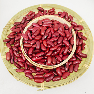 High Quality Red Kidney <b>Beans</b> Cleaned and Sorted for Export - Product Image 3