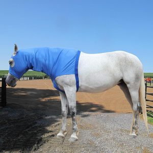 Protector de Crines de Caballo de Nailon de Alta Calidad, Capucha Elástica de Ajuste Suave, Abrigo para Brillo y Cuidado de Crines - Product Image 3