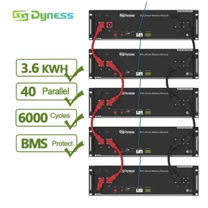 סוללת ליתיום Dyness B3 48v 3.6kw ליתיום Max 40 מקביל 48v lifepo4 מארז סוללות עם bms חכמים למערכת האנרגיה הביתית