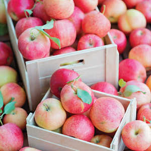 Pommes rouges Fuji biologiques de bonne qualité certifiées ISO, fruits frais, vente en gros, prix d'exportation, prix réduit, délicieusement croquantes, 20 kg/carton, qualité supérieure - Product Image 5