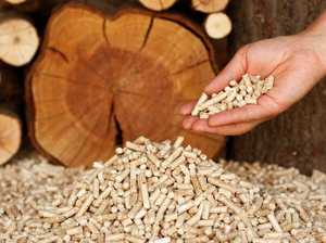 Granulés de bois de pin en forme de morceaux, haute valeur calorifique (>4700kcal/kg), pour poêles à granulés, chaudières à granulés, barbecues, écologiques, faible teneur en cendres (3,9%) - Product Image 4