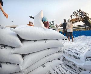 Riz au jasmin blanc à grain long de qualité supérieure - Product Image 1