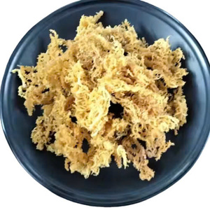 Mousse de mer irlandaise pure et biologique (Seamoss Gold-Purple-Chondrus Crispus) séchée FD pour une infusion de saveur unique en 2025 - Product Image 6