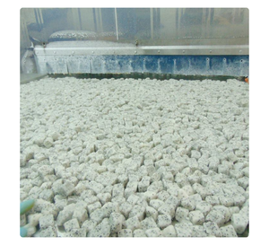 Fabricant vietnamien de fruits du dragon surgelés IQF pour la transformation alimentaire et l'exportation en gros - Product Image 2