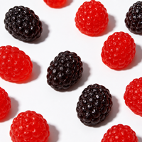 Bonbons Gélifiés Framboise Mûre en Gros Personnalisés OEM ODM Halal Saveurs Assorties Fruitées Douces et Acidulées TIK TOK