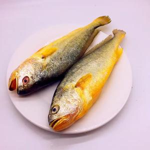 Le style séché Croaker jaune congelé naturel de l'Indonésie avec conservation du sel - Product Image 4