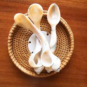 Cuchara blanca de madreperla, cuchara de caviar, cuchara de concha disponible. 100% de nácar Premium hecho a mano de Vietnam - Product Image 1