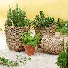 Handmade Planters Customized Design & Size Decorative Core Planters Rattan Net Planters <b>Flower</b> Pots for Indoor Outdoor Planting - Product Image 5