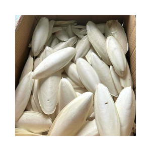 Os de seiche séchés Approvisionnement en gros Prix compétitif Exportation naturelle de calcium d'oiseau de compagnie Garantie de qualité en vrac - Product Image 1