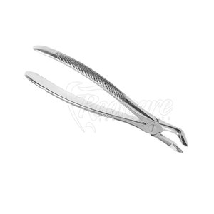 Fórceps de Extracción Dental de Acero Inoxidable de Alta Calidad, Alicates para Extraer Dientes, en Venta en Línea - Product Image 5