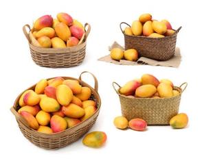 Vente de Gros Mangues Dorées Fraîches - Product Image 6