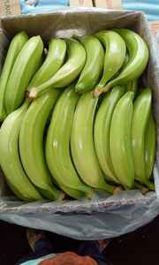 Plátano Cavendish Fresco Orgánico - 10 kg de Austria - Product Image 4