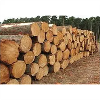 Troncos de madera de pino y roble/, Troncos Doussie/Tali/Azobe