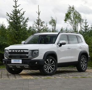 รถยนต์ SUV 4 ล้อ ฮาวาล ดาร์โก้ ปี 2024-2025 รุ่นใหม่ พร้อมกล้องมองหลังและเบาะหนัง รถ SUV ราคาประหยัดสำหรับผู้ใหญ่ - Product Image 5