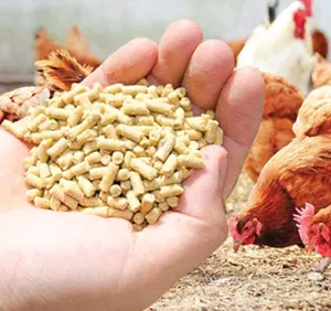 家禽飼料46% タンパク質-大豆動物飼料有機動物食品大豆ミールバルク家禽飼料の価格