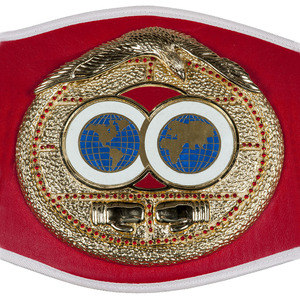 World heavyweight Championship เข็มขัดแชมป์โลกรุ่นใหญ่สีทองขนาด4มม. ชื่อสำหรับผู้ใหญ่ - Product Image 3
