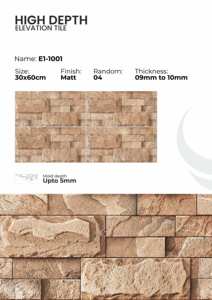 Azulejos de Porcelana para Elevación de Paredes de 300x600 mm, Acabado Exterior - Product Image 2