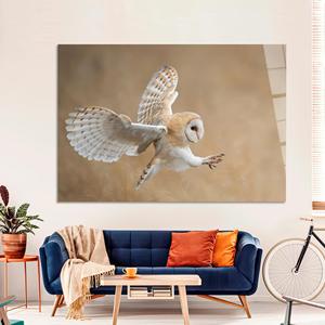 Impression sur toile de hibou-faisane élégante : Avant l'attaque, décoration murale animale, ART SUR VERRE TÉRMÉTRAL - Product Image 1