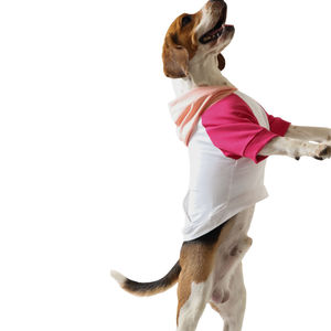 Jersey para Perro, Ropa Personalizable para Mascotas, Ropa Deportiva Cómoda y Elegante para Perros, Disponible en Todos los Tamaños, Ropa Transpirable para Perros - Product Image 4