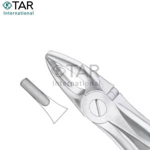 Fig. 2 Pinces à extraction de dents de différentes tailles latérales supérieures et canines Grossistes d'instruments médicaux dentaires - Product Image 5