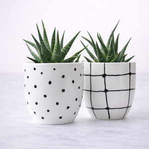 Elegante Juego de Macetas de Cerámica Blanca con Diseño Moderno de Cuadrícula de Puntos, Duradero Soporte para Plantas Suculentas de Interior - Product Image 1