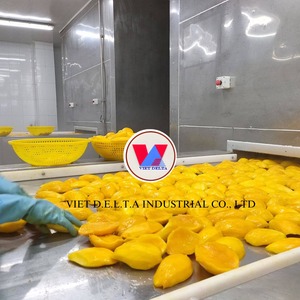 Mango Fresco Orgánico Congelado en Cubos de 10x10x10mm del Delta de Vietnam con Calidad Premium - Product Image 3