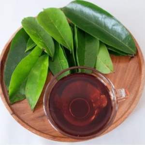 Hojas de guanábana secas (100% puras) que añaden un aroma natural para el cuidado de la salud - Product Image 6