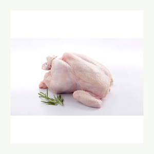 Carne de pollo congelada entera de aves de corral fresca de alta calidad y alta calidad a bajo precio - Product Image 5