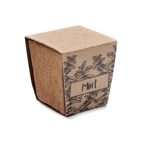 Kit promotionnel écologique pour la culture de la menthe destiné aux jardiniers et aux propriétaires - Product Image 2