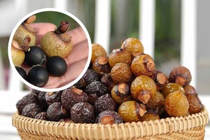 Sapindus Saponaria Bulk Production Factory in Vietnam/ Holiday| <b>Soapberries</b> - Product Image 2