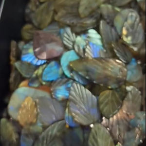240 pièces de Labradorite naturelle avec feu 16-40mm feuille à découper 1925 Cts Lot Iroc ventes feuilles de haute qualité coupe de pierres précieuses en vrac - Product Image 2