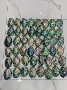 หอยเป๋าฮื้อสีน้ำเงินขัดจากเวียดนามอุปกรณ์ตกแต่งเปลือกหอยมุก - Product Image 4