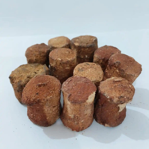 นักเล่นเกม - Product Image 1