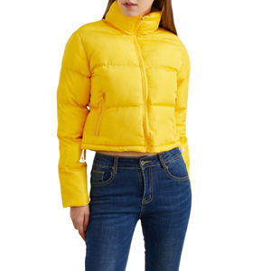 Chaqueta Acolchada de Mujer, Última Moda, Color Sólido, Manga Larga, Cierre Completo, Bordado Regular, Tejido Grueso, Estilo Urbano - Product Image 1