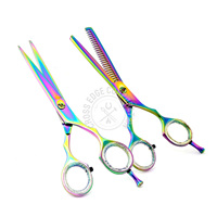 Ensemble de ciseaux de Salon de haute qualité cisailles de coiffeur ciseaux de coupe de cheveux ciseaux à effiler conception de poignée décalée en acier inoxydable