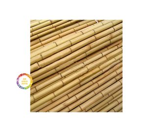 Nature Raw Large Bamboo Poles 300cm Length Straight Tree <b>Stakes</b> with Branches for <b>Decoration</b> Directly From Vietnam - Product Image 5