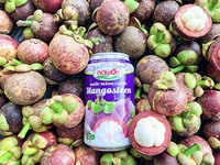 Groothandel Tropisch Fruit Sap Fabrieksprijs 330ml Sap Geblikte NFC Gezonde Frisdranken OEM ODM Beschikbaar Gemengd