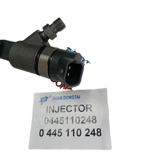 Inyector Common Rail DELPHI 0445110248 de Acero para Camiones ABG 1976-1982, Pieza de Combustible de 20cm, Reemplazo 504088823 - Product Image 1