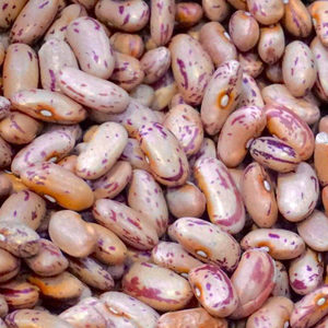 Frijoles Pintos naturales secos a granel Frijoles de riñón moteados ligeros Frijoles Pintos de azúcar - Product Image 1