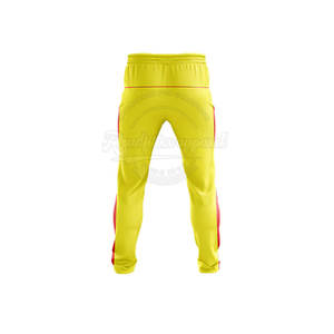 Maillot et pantalon de cricket de haute qualité uniforme Logo personnalisé ensemble d'uniformes d'équipe de cricket respirant en gros - Product Image 6
