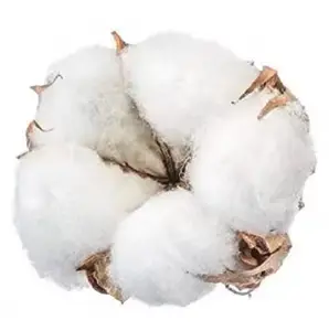 quality cotton linter pulp cellulose fiber material worldwide shipping cotton linter pulp wholesale Raw cotton linter pulp