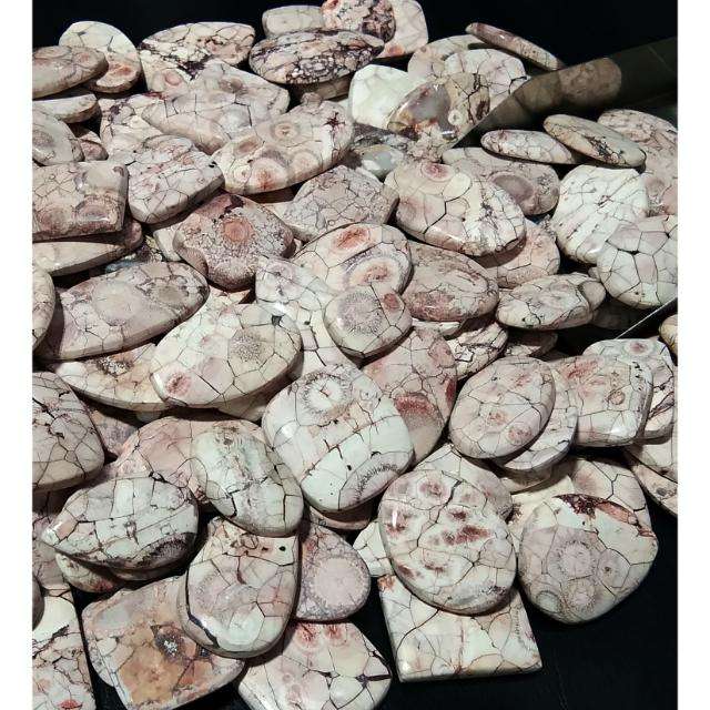 ขาว/น้ำตาล