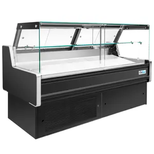 Huaer - Vitrina Refrigerada de 2 Puertas con Enfriamiento Directo y Vidrio Plano para Exhibición de Pescado en Supermercados, Restaurantes y Comercios de Alimentos Congelados - Product Image 1