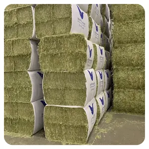 Tier fütterung Timothy oder Alfalfa Hay in Ballen zum Verkauf für Großhandel/Super Top Qualität Alfalfa Hay!!