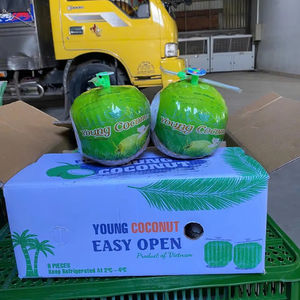 Coco Joven Premium de Ben Tre, Vietnam, con Cáscara Entera, Forma de Diamante Dulce, Piel Verde, Fácil de Abrir, 70-90 Días de Duración, Techmifood - Product Image 1