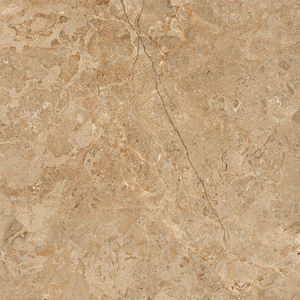 Valeur marchande Fabrication de carreaux de sol émaillés en porcelaine de marbre en pierre en Inde pour salle de conférence. - Product Image 3