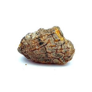 Capsules d'extrait d'animal ambre gris blanc de haute qualité pour une utilisation cosmétique disponibles pour l'exportation avec un taux de gros d'usine - Product Image 4