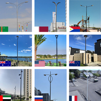 Poste de Aluminio para Farola Solar Exterior Personalizado, de un Solo Brazo o Doble Brazo, Tamaños 4m 5m 6m 7m 8m 9m 10m 12m, Precios Competitivos