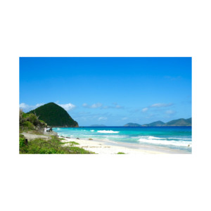 Grandes quantités de bûches de hêtre pour les projets d'amélioration de meubles solides Produit à prix élevé - Product Image 5